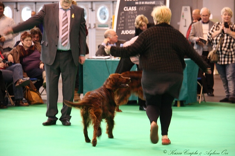 Crufts2011 402.jpg